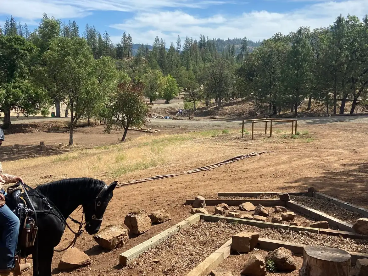 A rider on a black horse working the rock and maze obstacle, with the valley behind